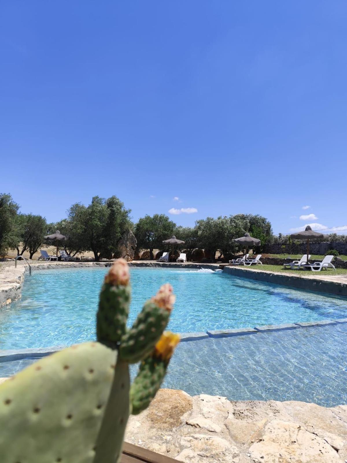Masseria Palmo 弗兰卡维拉丰塔纳 外观 照片