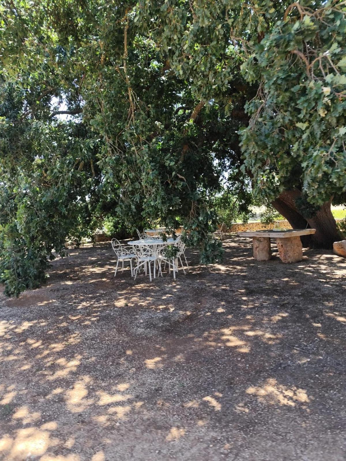 Masseria Palmo 弗兰卡维拉丰塔纳 外观 照片